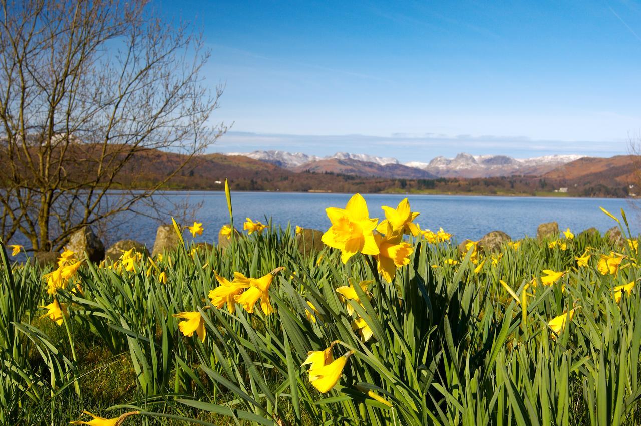 Ivythwaite Lodge Guest House Windermere Buitenkant foto